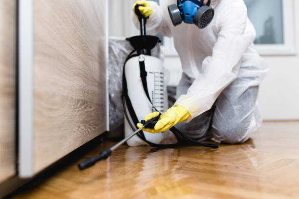 Best Pest Removal Services  in Crothersville, IN