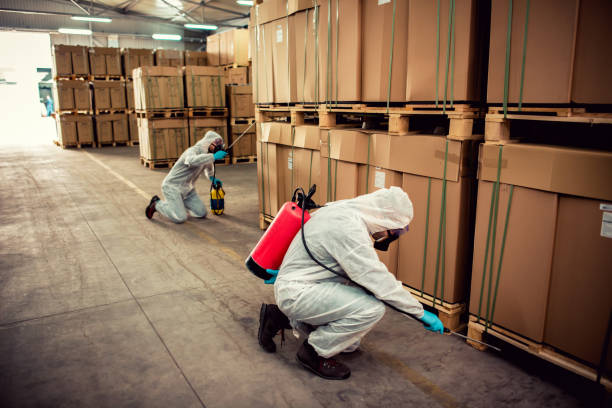 Best Flea Control Services  in Crothersville, IN