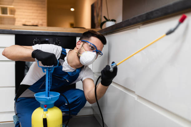 Best Best Pest Control Companies  in Crothersville, IN