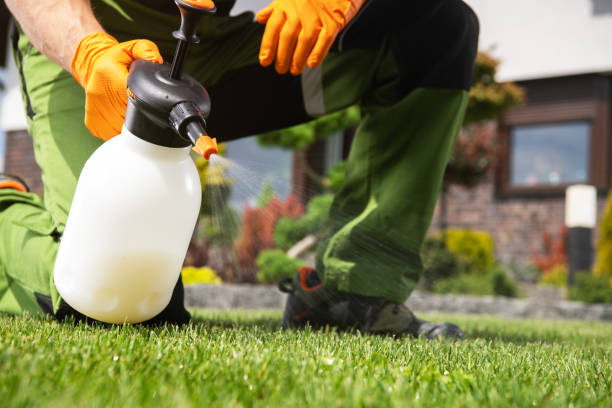 Reliable Crothersville, IN Pest Control Solutions