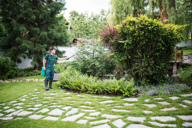 Best Residential Pest Control  in Crothersville, IN