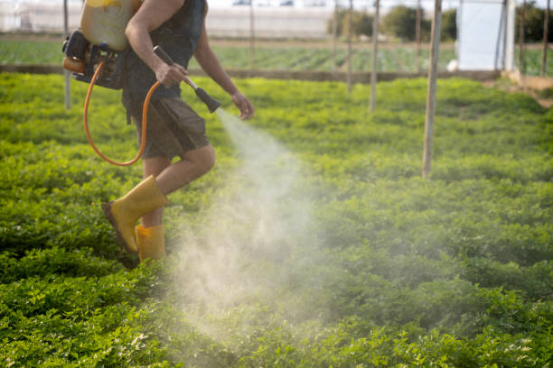 Best Pest Control for Restaurants  in Crothersville, IN