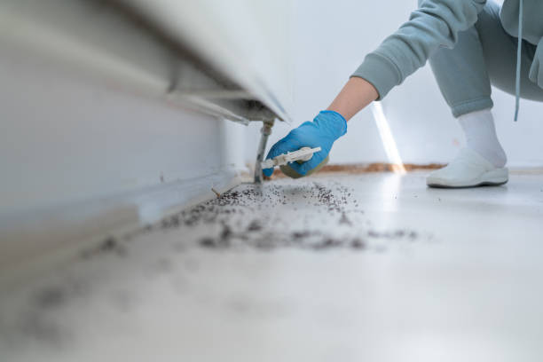 Best Termite Control Services  in Crothersville, IN